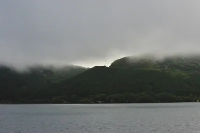 DSC_3720 (Large).JPG